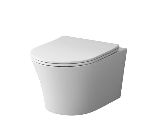 Унитаз подвесной безободковый AM.PM Skyline с сиденьем микролифт DX35C1700SC