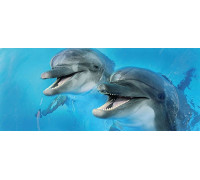 Декор Cerrol Porto Dolphins 2 centro 250х600 мм х9999043953