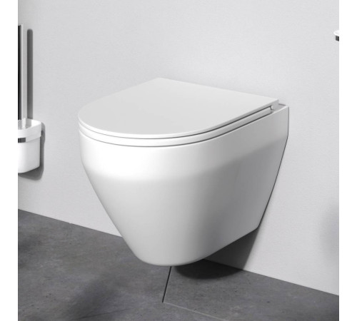 Унитаз подвесной AM.PM Spirit V2.0 FlashClean с сиденьем C701700SC