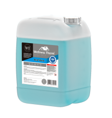 Реагент щелочной Wellness Therm REAL SHINE 10 л REAL SHINE 10л.