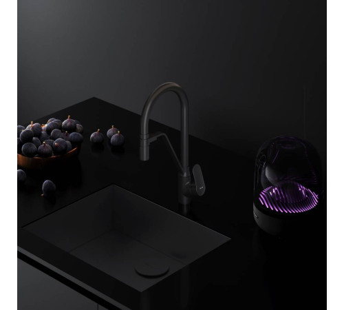 Смеситель для кухни AM.PM Like с каналом для питьевой воды и гибким изливом F8007822