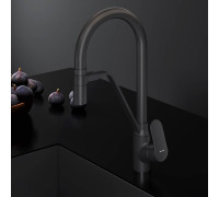 Смеситель для кухни AM.PM Like с каналом для питьевой воды и гибким изливом F8007822