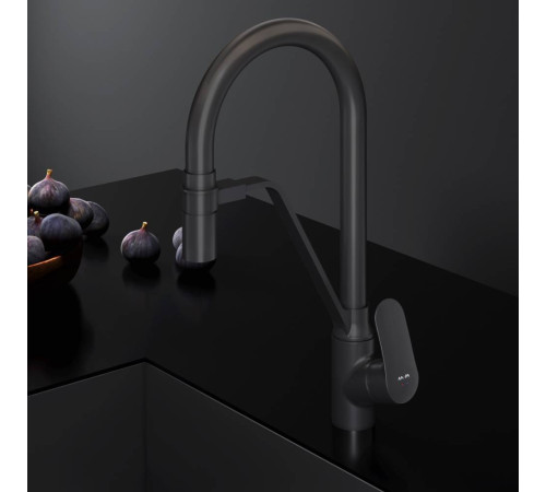 Смеситель для кухни AM.PM Like с каналом для питьевой воды и гибким изливом F8007822