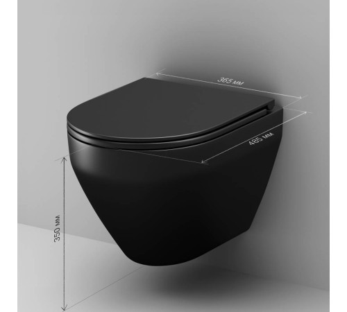 Унитаз подвесной AM.PM Spirit V2.0 FlashClean с сиденьем микролифт C701700MBSC