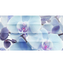 Декор Ceradim Vanda Panno B 25x45 см КПН16VandaB