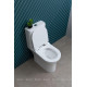 Чаша напольного унитаза Aquanet Roll 2-C Rimless с сиденьем Soft Close Slimseat Roll 2-C