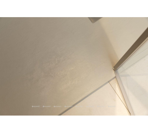 Душевая дверь в нишу Allen Brau Priority 1200 мм стекло Optiwhite серебро 3.31008.BA