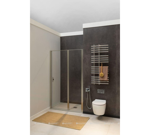 Душевая дверь в нишу Allen Brau Priority 1200 мм стекло Optiwhite серебро 3.31008.BA