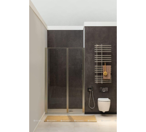 Душевая дверь в нишу Allen Brau Priority 1200 мм стекло Optiwhite серебро 3.31008.BA