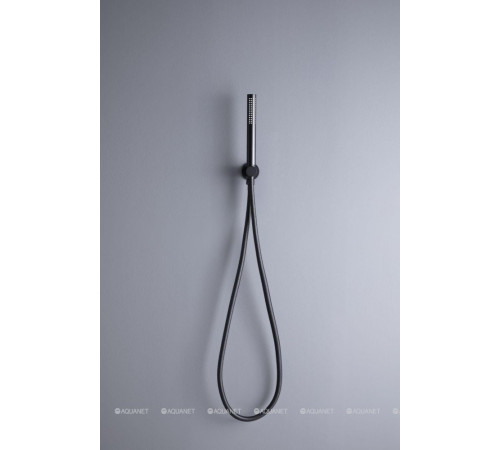 Душевой набор Allen Brau Priority ручной душ водорозетка шланг 1500 мм черный матовый 5.31019-31