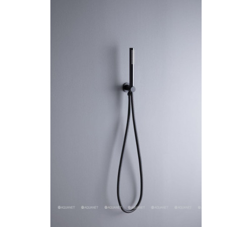 Душевой набор Allen Brau Priority ручной душ водорозетка шланг 1500 мм черный матовый 5.31019-31