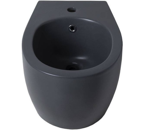 Биде подвесное Allen Brau Fantasy серый 4.11006.AN