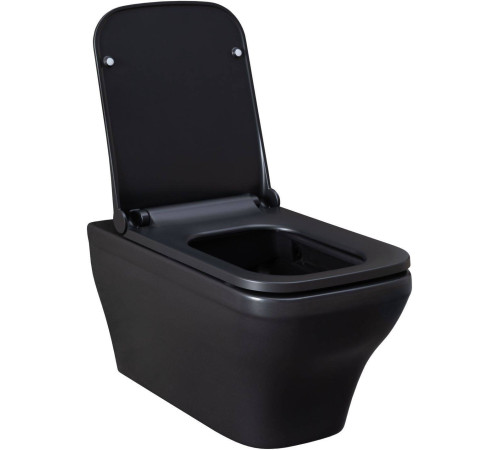 Унитаз подвесной Allen Brau Infinity чаша 34x53.5x35.5 см черный 4.21011.31