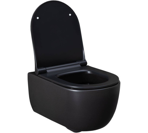 Унитаз подвесной Allen Brau Priority 36х54.5х33 см черный 4.31001.31