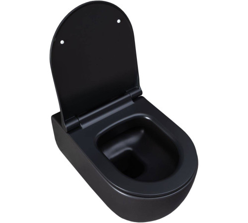 Унитаз подвесной Allen Brau Priority 36х54.5х33 см черный 4.31001.31