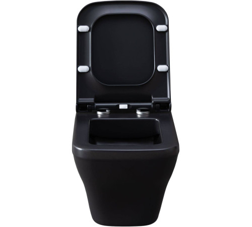 Унитаз подвесной Allen Brau Infinity чаша 34x53.5x35.5 см черный 4.21011.31