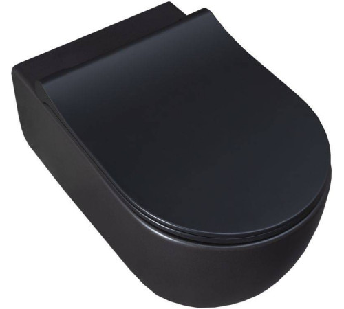Унитаз подвесной Allen Brau Priority 36х54.5х33 см черный 4.31001.31