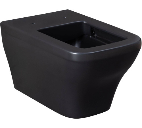 Унитаз подвесной Allen Brau Infinity чаша 34x53.5x35.5 см черный 4.21011.31