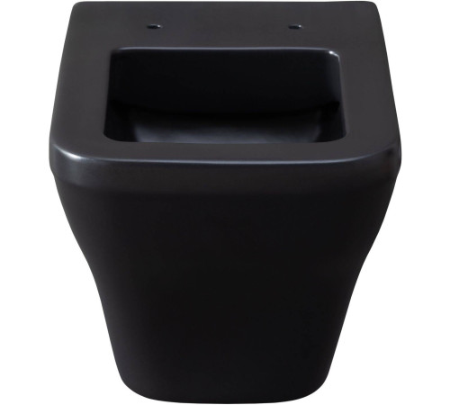 Унитаз подвесной Allen Brau Infinity чаша 34x53.5x35.5 см черный 4.21011.31