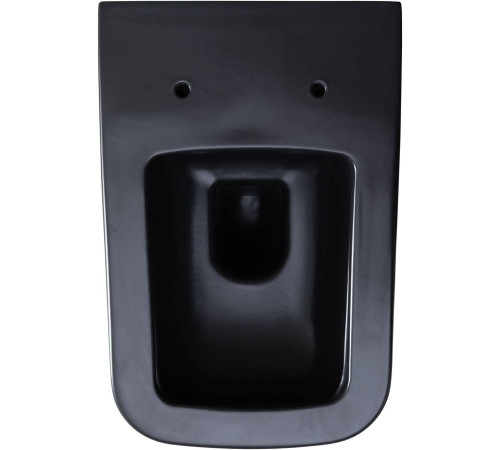 Унитаз подвесной Allen Brau Infinity чаша 34x53.5x35.5 см черный 4.21011.31