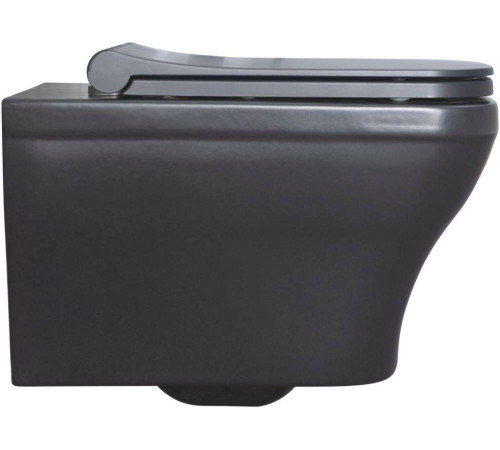 Унитаз подвесной Allen Brau Infinity чаша 34x53.5x35.5 см черный 4.21011.31