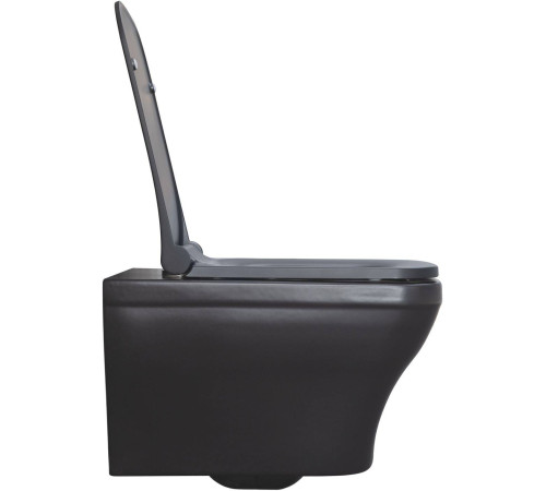 Унитаз подвесной Allen Brau Infinity чаша 34x53.5x35.5 см черный 4.21011.31