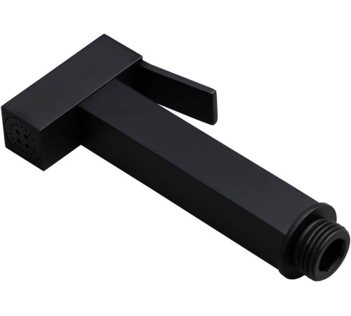 Гигиеническая лейка Allen Brau Infinity черный 5.21A05-31