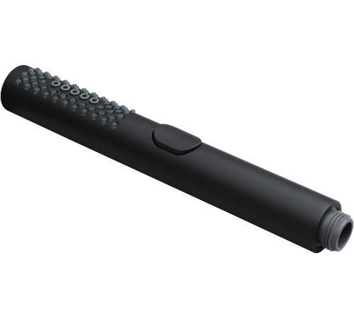 Душевая лейка Allen Brau Priority черный 5.31A20-31