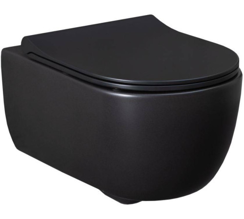 Унитаз подвесной Allen Brau Priority 36х54.5х33 см черный 4.31001.31