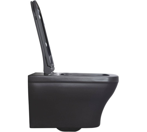 Унитаз подвесной Allen Brau Infinity чаша 34x53.5x35.5 см черный 4.21011.31