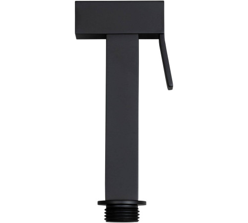 Гигиеническая лейка Allen Brau Infinity черный 5.21A05-31