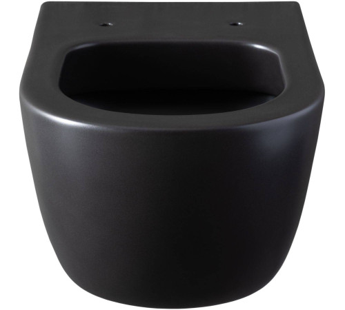 Унитаз подвесной Allen Brau Priority 36х54.5х33 см черный 4.31001.31