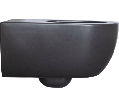 Унитаз подвесной Allen Brau Priority 36х54.5х33 см черный 4.31001.31