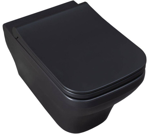 Унитаз подвесной Allen Brau Infinity чаша 34x53.5x35.5 см черный 4.21011.31