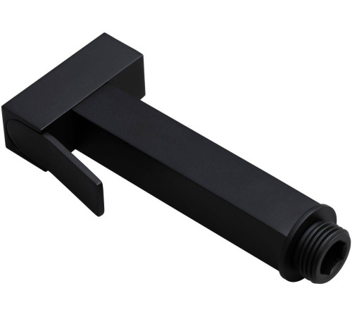 Гигиеническая лейка Allen Brau Infinity черный 5.21A05-31