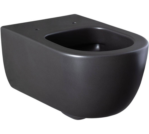 Унитаз подвесной Allen Brau Priority 36х54.5х33 см черный 4.31001.31