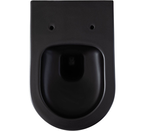 Унитаз подвесной Allen Brau Priority 36х54.5х33 см черный 4.31001.31