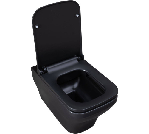 Унитаз подвесной Allen Brau Infinity чаша 34x53.5x35.5 см черный 4.21011.31