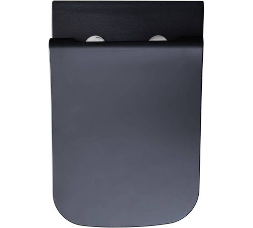 Унитаз подвесной Allen Brau Infinity чаша 34x53.5x35.5 см черный 4.21011.31