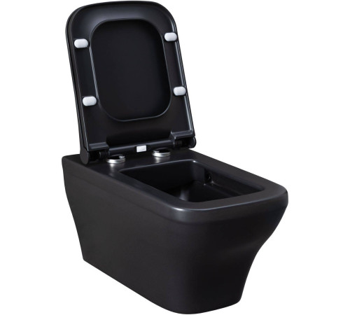 Унитаз подвесной Allen Brau Infinity чаша 34x53.5x35.5 см черный 4.21011.31