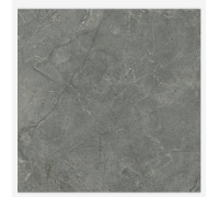Керамогранит Laparet Pluto Grigio серый матовый 60х60 см SG625920R