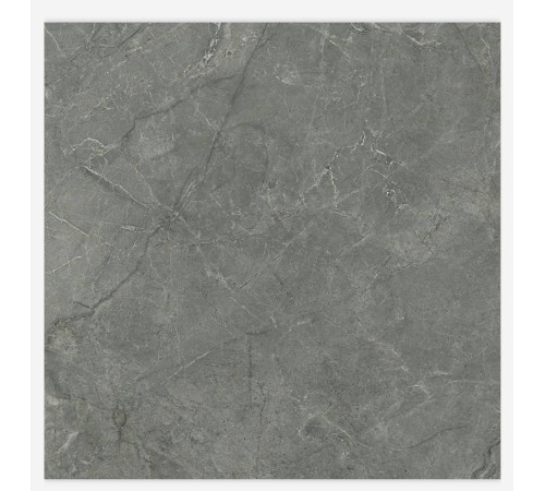 Керамогранит Laparet Pluto Grigio серый матовый 60х60 см SG625920R