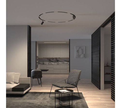 Slim Magnetic Трековый светильник для радиусного шинопровода 20W 4200K Comfi чёрный Ø 1200мм 85190/01