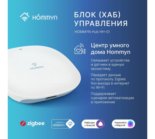 Блок управления шлюз HOMMYN Hub HH-01