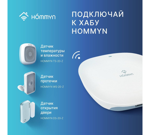 Блок управления шлюз HOMMYN Hub HH-01
