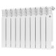 Радиатор биметаллический Royal Thermo Vittoria 2.0 500 10 секций 1630309