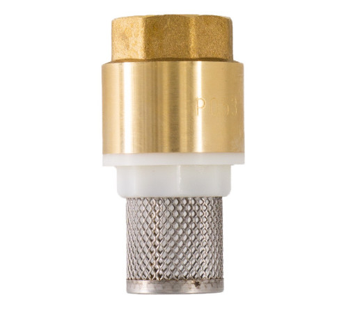 Клапан обратный СТМ с сеткой 1 CBCVF001