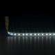 Светодиодная лента 12 В 9.6 Вт/м 120 Led/м 2835 IP20, холодный белый 6500К, 5 м Лента светодиодная 12V 9,6W 120Led 2835 IP20 холодный белый, 5м