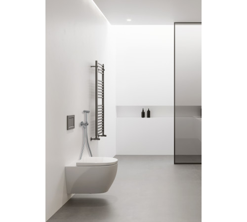 Гигиенический комплект Bossini INOX с запорным вентилем матовая нержавеющая сталь INC010.075