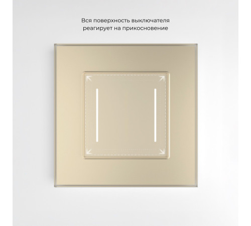Умный сенсорный выключатель двухклавишный (шампань) W4523011